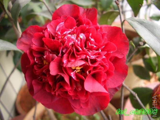 ��ҹħ��0036.jpg