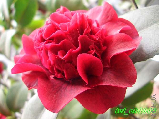 ��ҹħ��0011.jpg