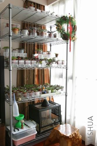 �Ϲ�˵���ǻȳ棬�ж��ط�ռ���ط���ֻ�ø�������������ӣ���ֹ���ĵ����������ϡ�