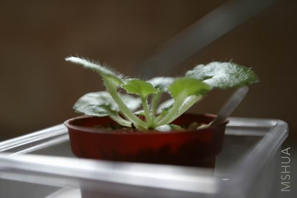 �Ϲ��������ʱ���ĵ�