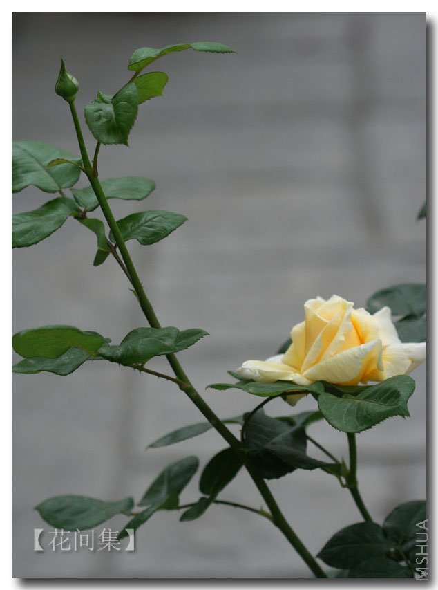 IMG_9673 ����.jpg