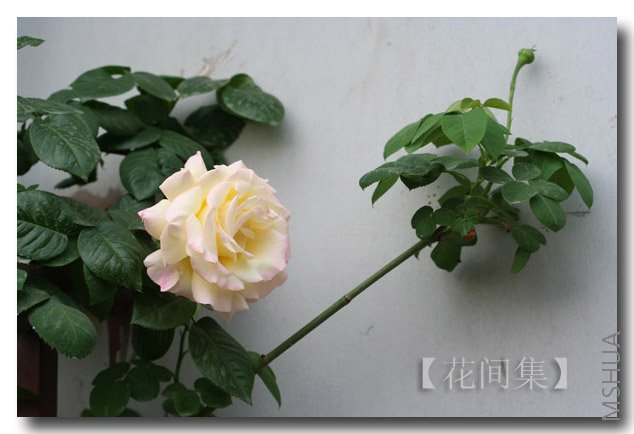 IMG_9489 ����.jpg