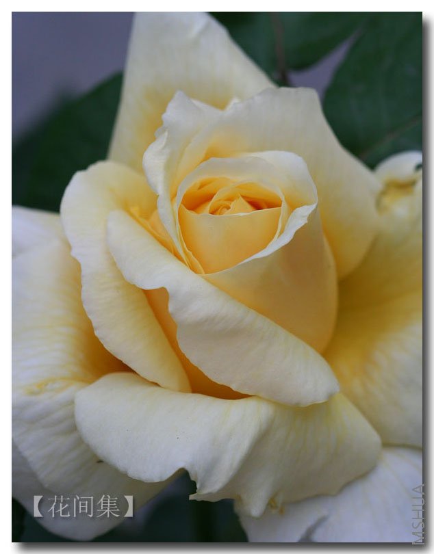 IMG_9685 ����.jpg