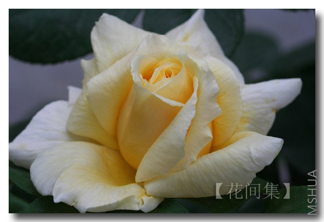 IMG_9640 ����.jpg