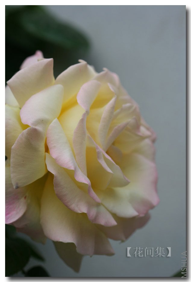 IMG_9490 ����.jpg