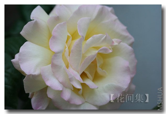 IMG_9611 ����.jpg