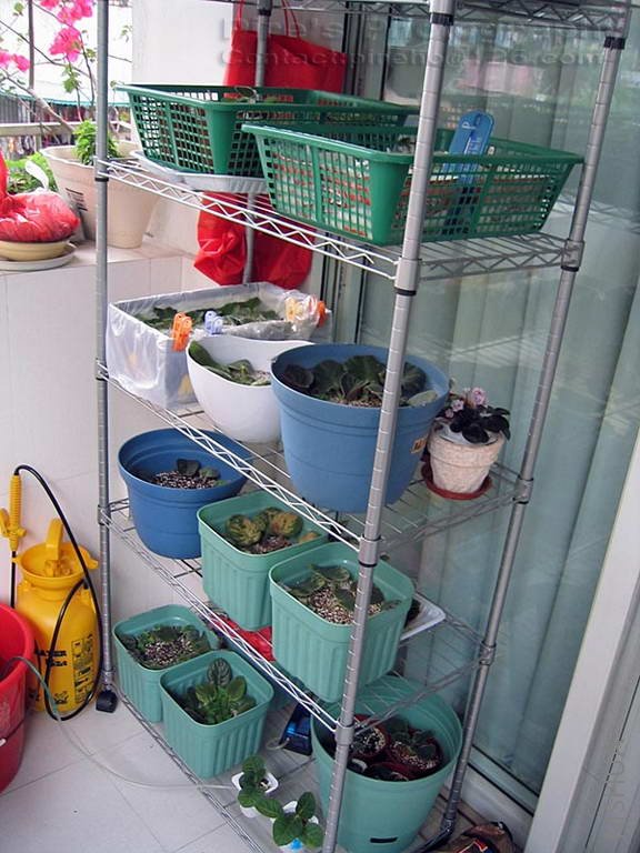 �Ҽ�ª�ĵ���