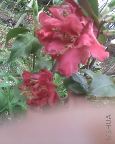 05-04-08_0906.jpg