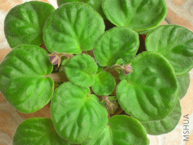 ���������һ��