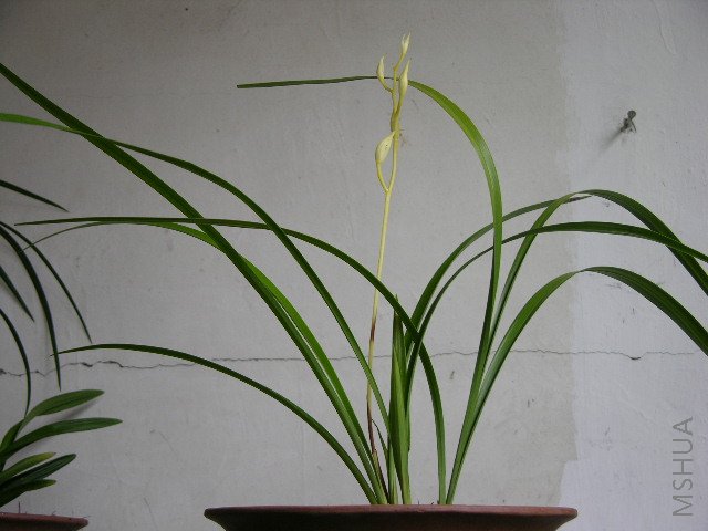 DSCN1590.JPG