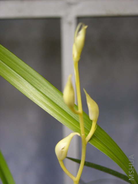 DSCN1588.JPG