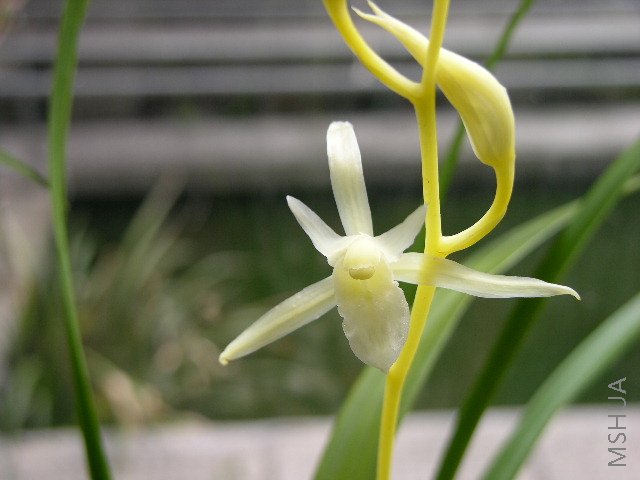 DSCN1627.JPG