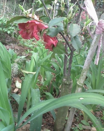 05-04-08_0904.jpg