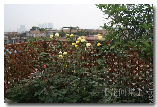 IMG_9578 ����.jpg