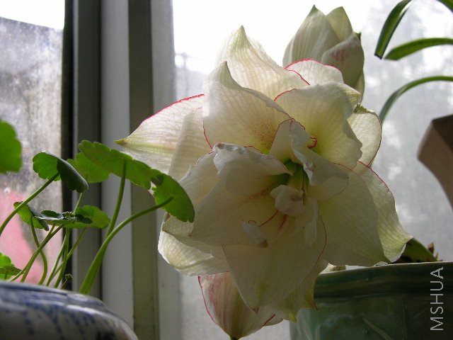 DSCN1794.JPG