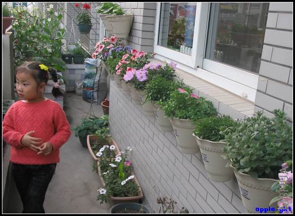 ��Ƭ20080417 033.jpg