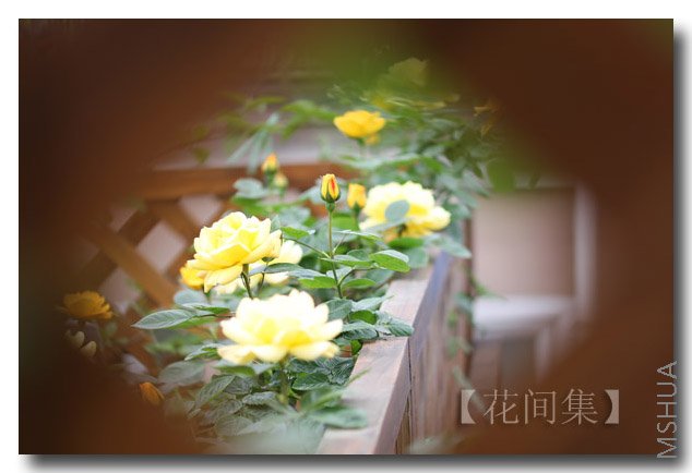 IMG_9956 ����.jpg