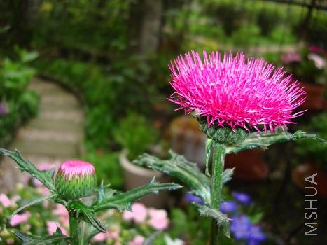 �����ʲô����