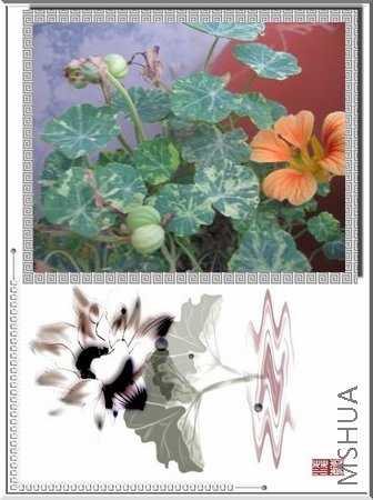 ��ƬС������20080417 002.jpg