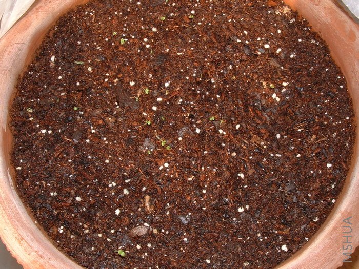 �Ӵ��ţ��������