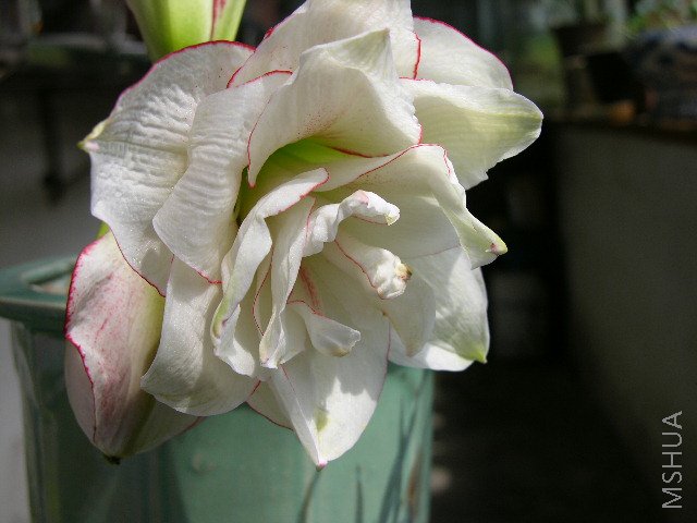 DSCN1798.JPG
