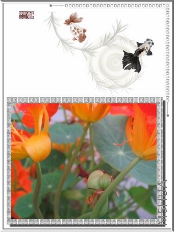 ��ƬС������20080417 003.jpg