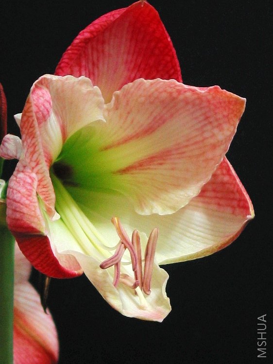 �ڶ���ƻ��