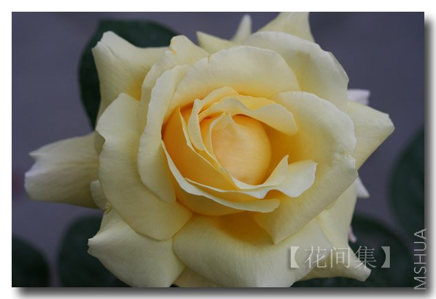 IMG_9931 ����.jpg