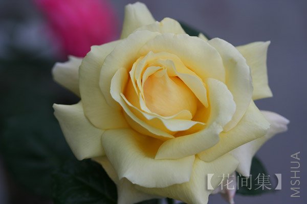 IMG_9929 ����.jpg