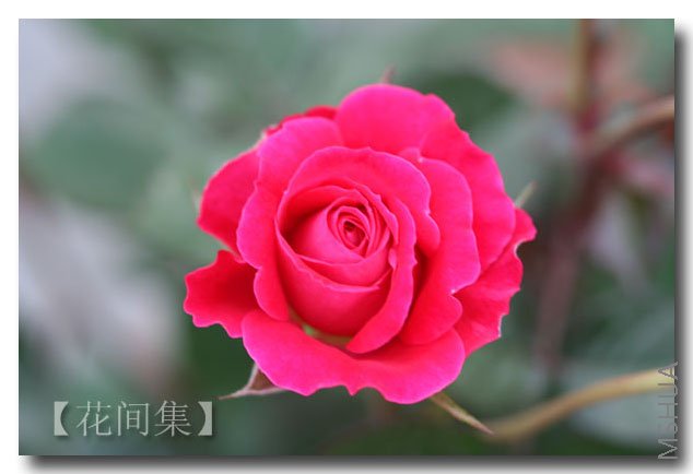 IMG_9760 ����.jpg