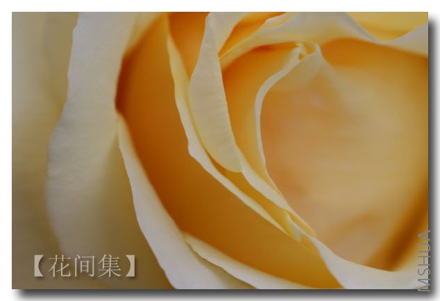 IMG_9936 ����.jpg