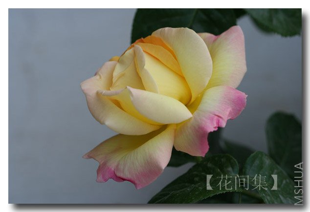 IMG_9863 ����.jpg