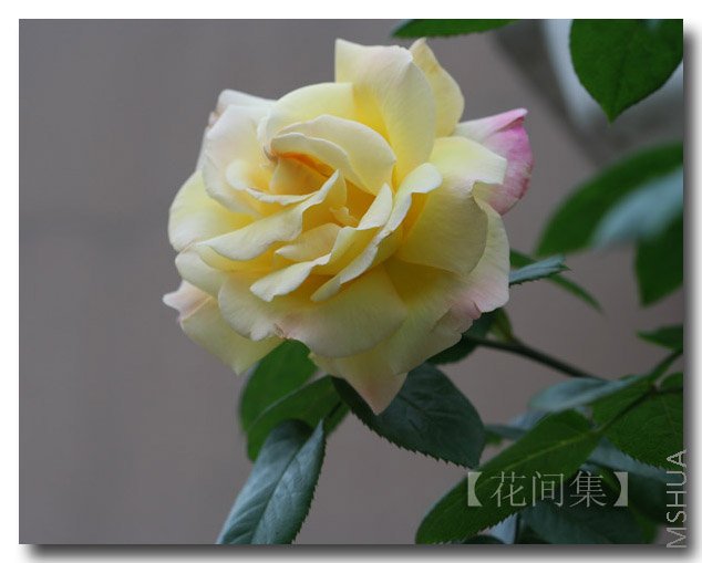 IMG_9973 ����.jpg