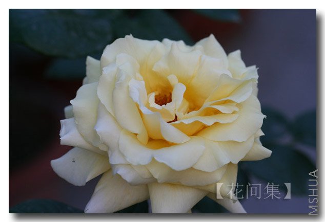 IMG_9822 ����.jpg