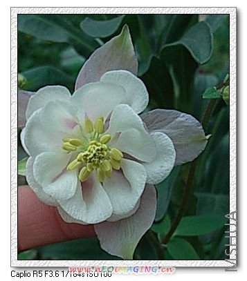 �����һ����ɫ