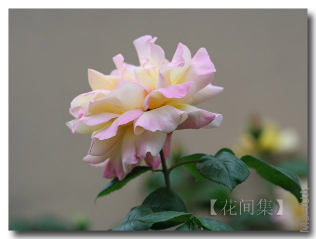 IMG_9953 ����.jpg