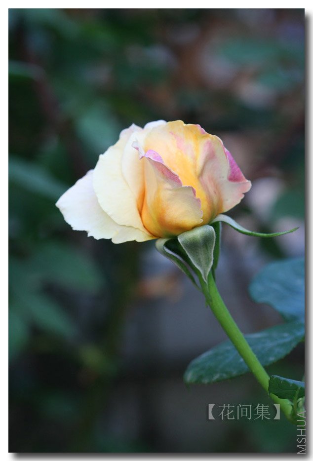 IMG_9825 ����.jpg