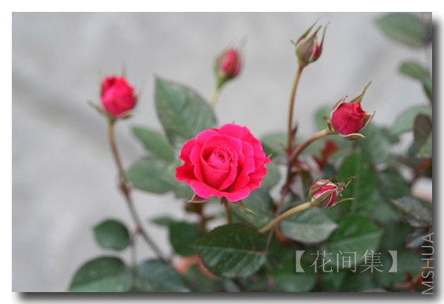 IMG_9758 ����.jpg