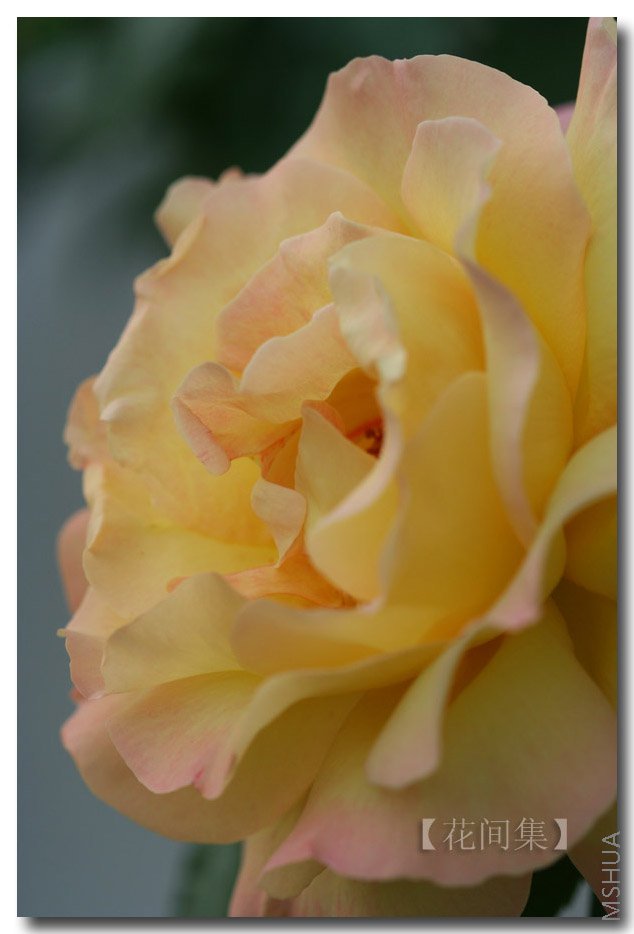 IMG_9786 ����.jpg