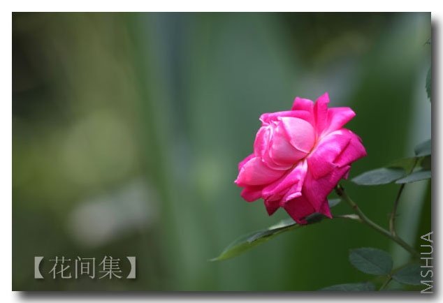 IMG_1301 ����.jpg