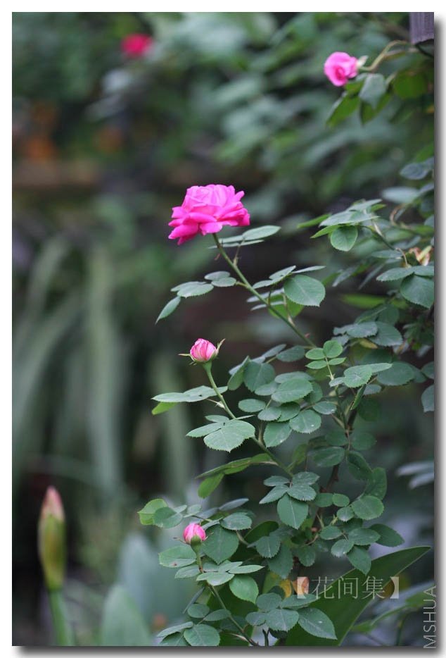 IMG_0024 ����.jpg