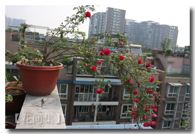 IMG_1276 ����.jpg