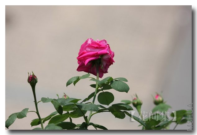 IMG_1294 ����.jpg