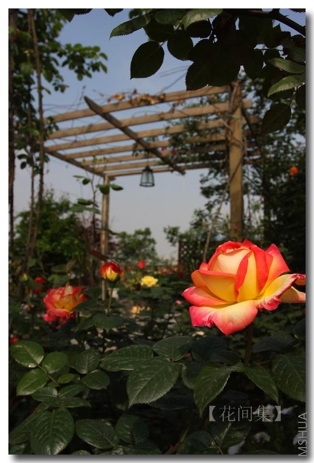 IMG_1279 ����.jpg