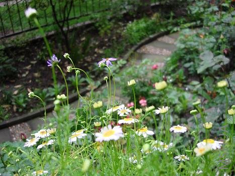 ��ɫ����Ȼ�ң���Ҳ����Ȥ