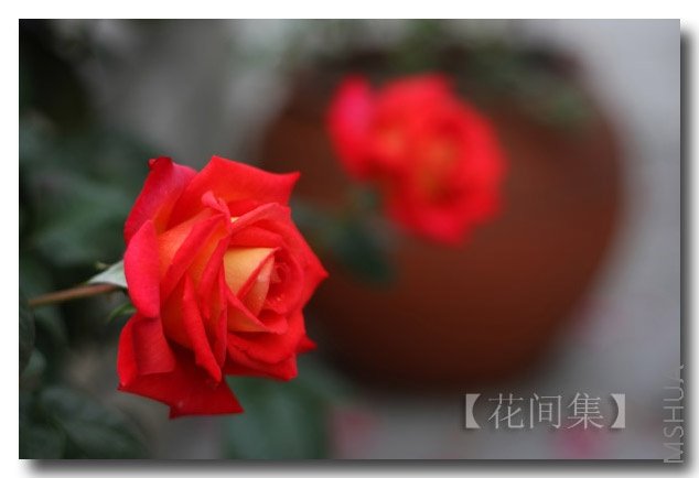 IMG_1212 ����.jpg