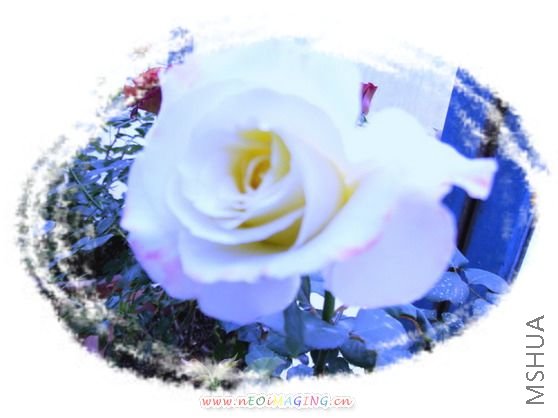 DSCF1346.jpg