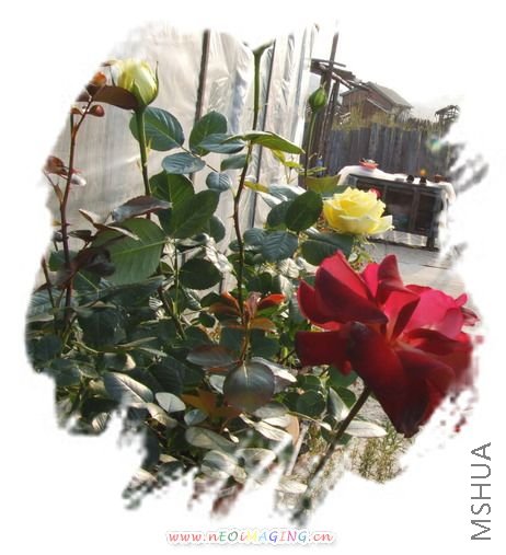 DSCF1539.jpg