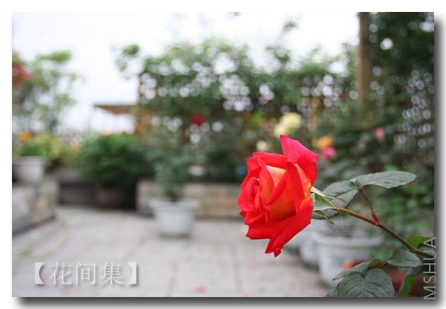 IMG_0073 ����.jpg