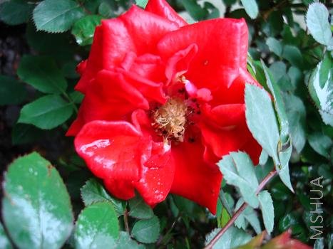 ��ʱ�ϰ��֪�����֣����������ˣ��������